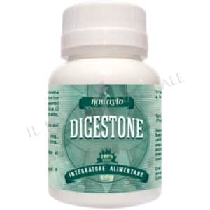 DIGESTONE