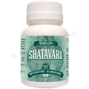 SHATAVARI
