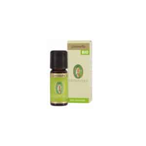 Olio essenziale di Citronella 10 ml BIO Flora